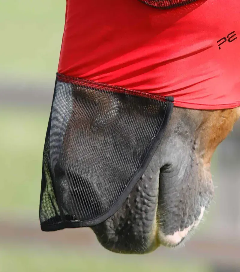 Premier Equine Large Comfort Tech Lycra Fly Mask Xtra in Red-2