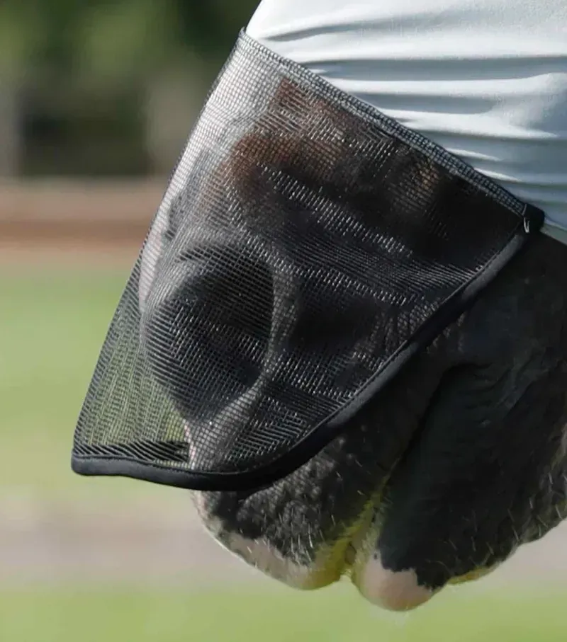 Premier Equine Comfort Tech Lycra Fly Mask Xtra in Grey-3