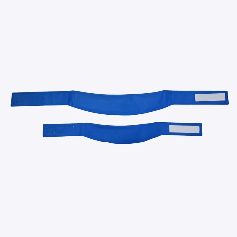 Danish Design Pet Cooling Collar Large 6.5 x 61cm in Blue-1