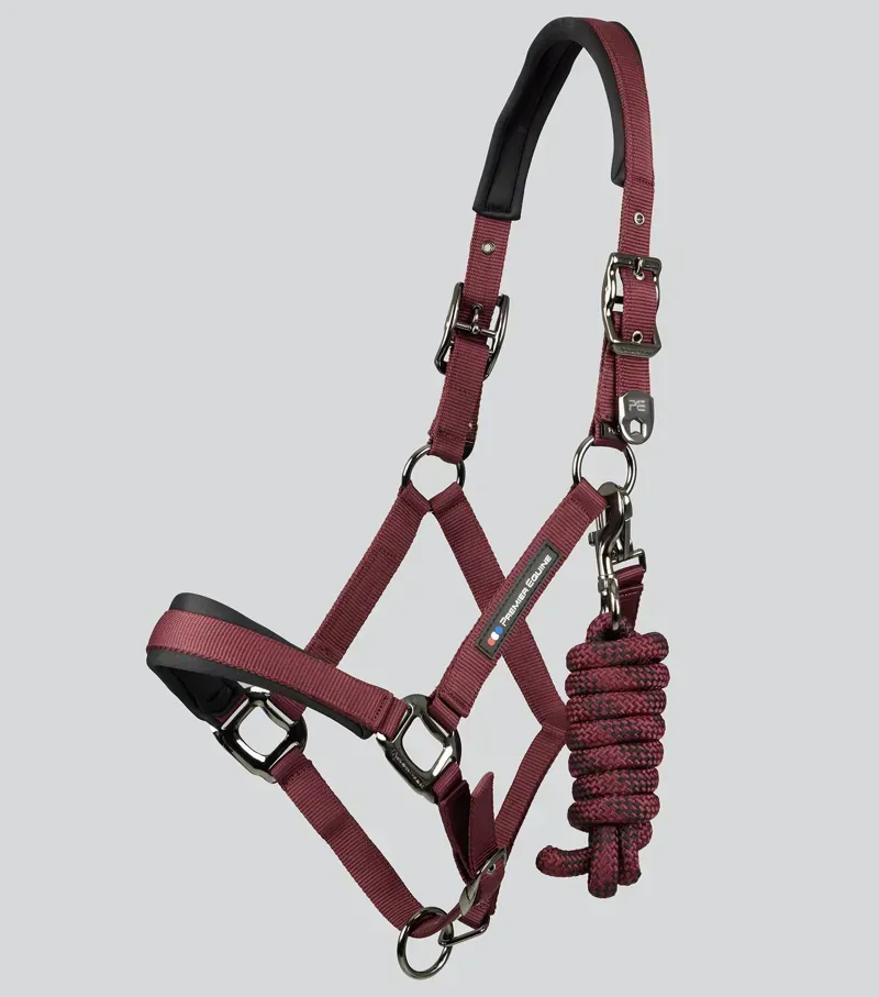 Premier Equine Corda Padded Head Collar With Lead Rope in Burgundy