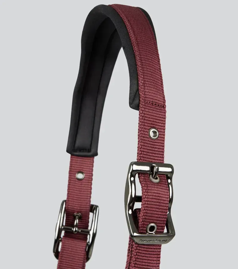 Premier Equine Corda Padded Head Collar With Lead Rope in Burgundy-2