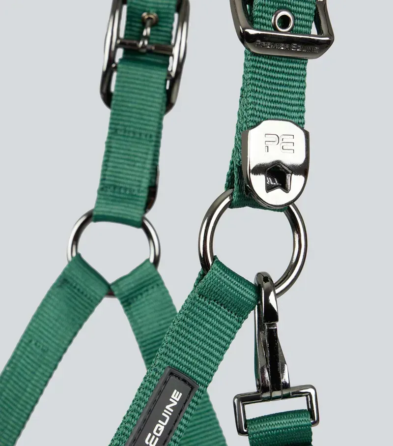 Premier Equine Corda Padded Head Collar With Lead Rope in Green-3