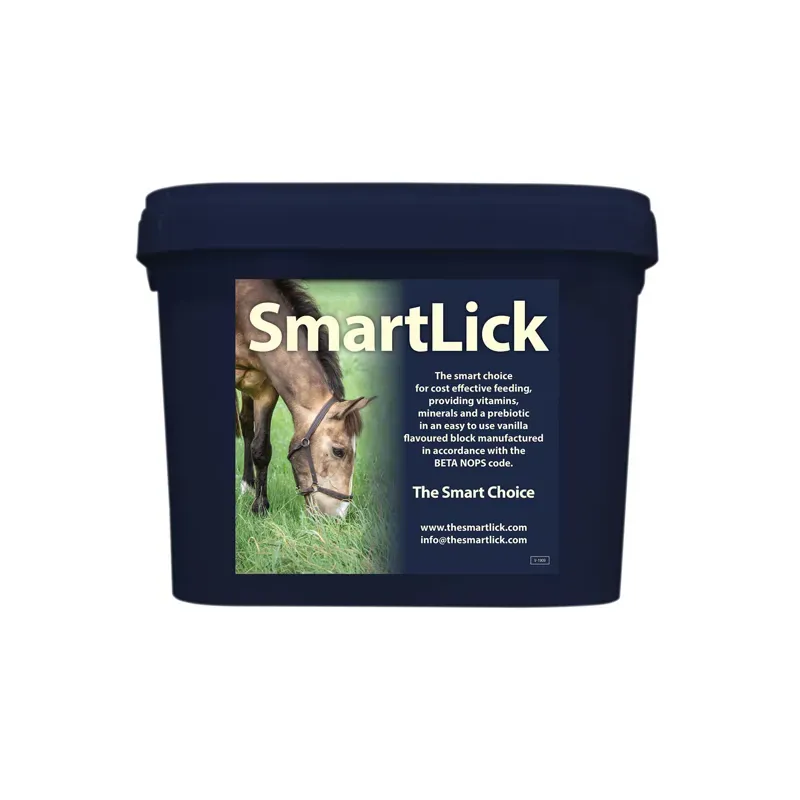 SmartLick 12.5kg Original Lick in Blue