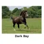 Kevin Milner Countryside Cards in Dark Bay