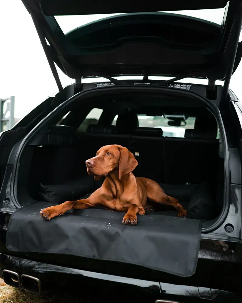 Danish Design Large Boot Bed in Black