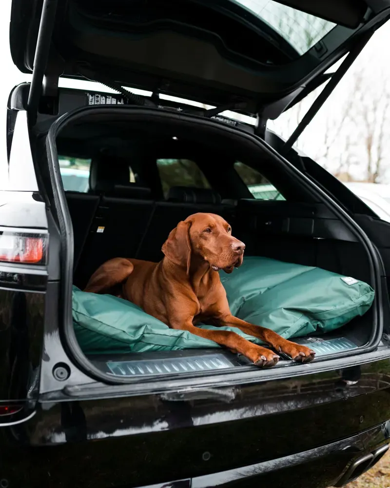 Danish Design County Large Deep Filled Duvet in Green