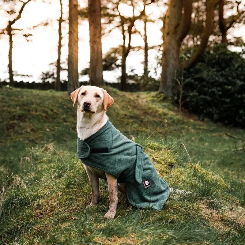 Danish Designs 50cm/20in. Dog Towelling Robe in Green-2