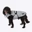 Danish Design X-Small 25 cm 3-In-1 Dog Coat in Light Reflective