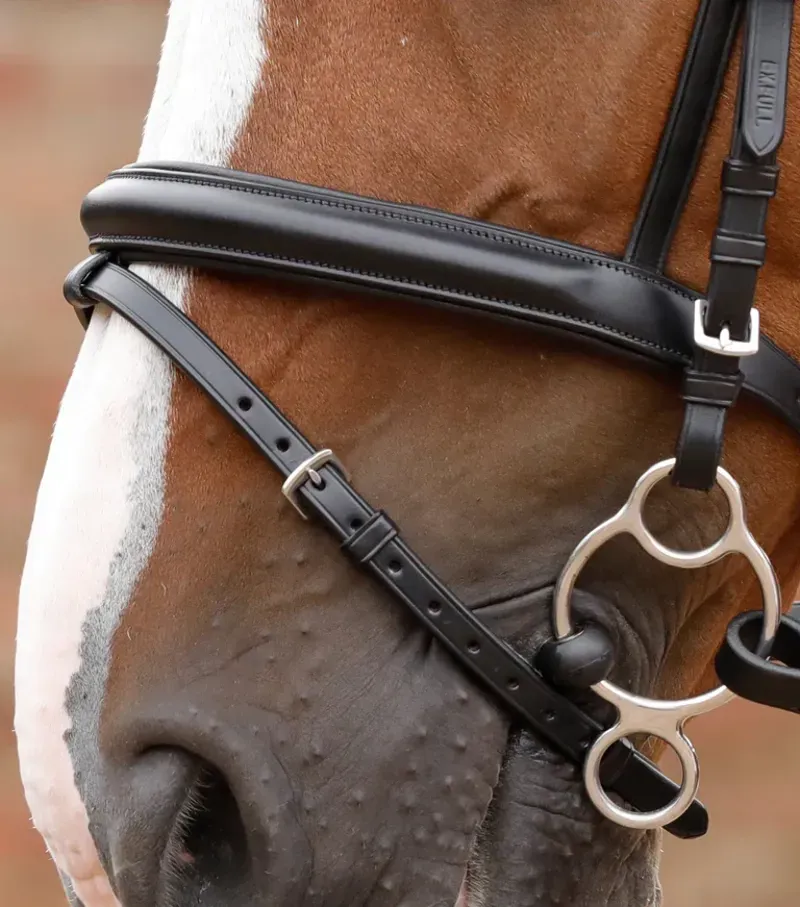 Premier Equine Delizioso Snaffle Bridle in Black-1