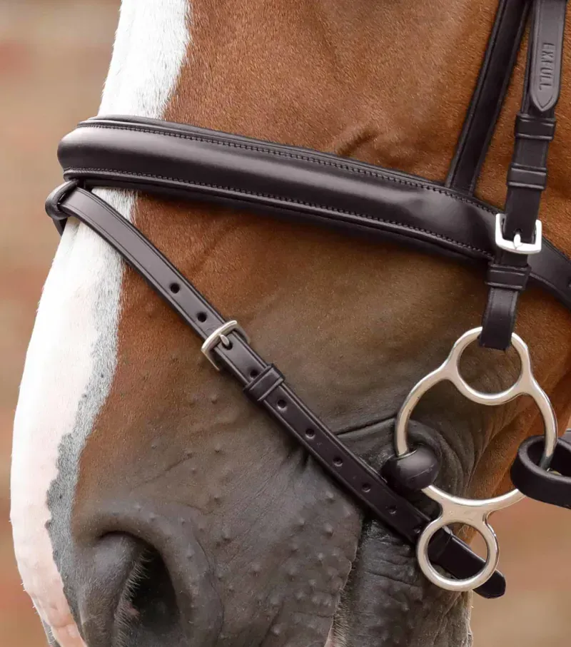 Premier Equine Delizioso Snaffle Bridle in Brown-1
