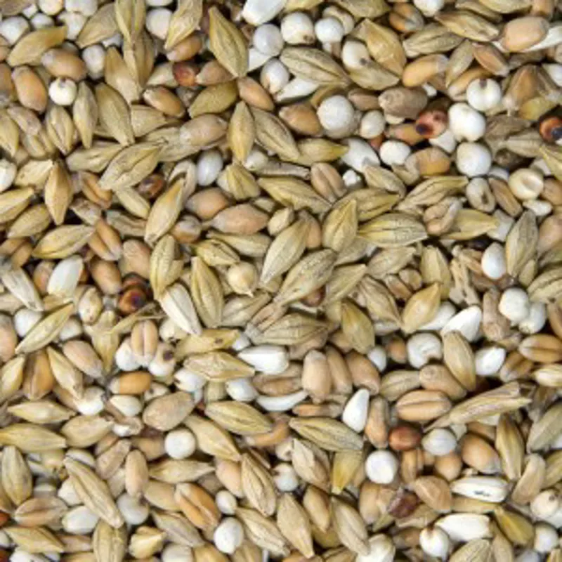 Bamfords Top flight Depurative 20kg-1