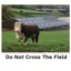 Kevin Milner Countryside Cards in Do Not Cross The Field