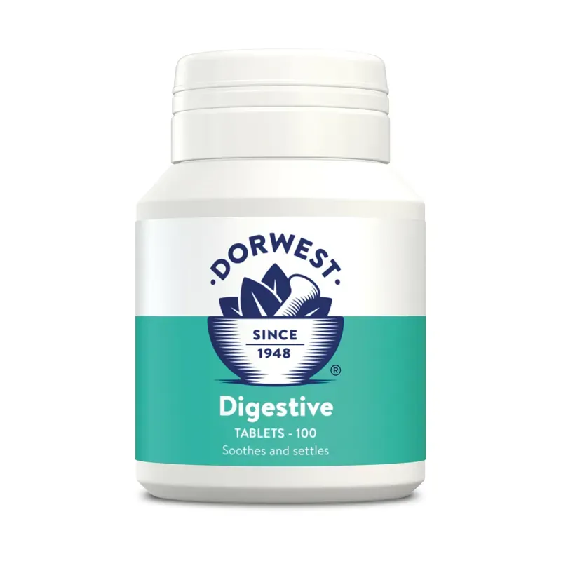 Dorwest Herbs 100 Digestive Tablets
