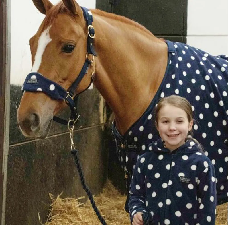 Supreme Products Dotty Fleece Head Collar and Lead Rope in Navy