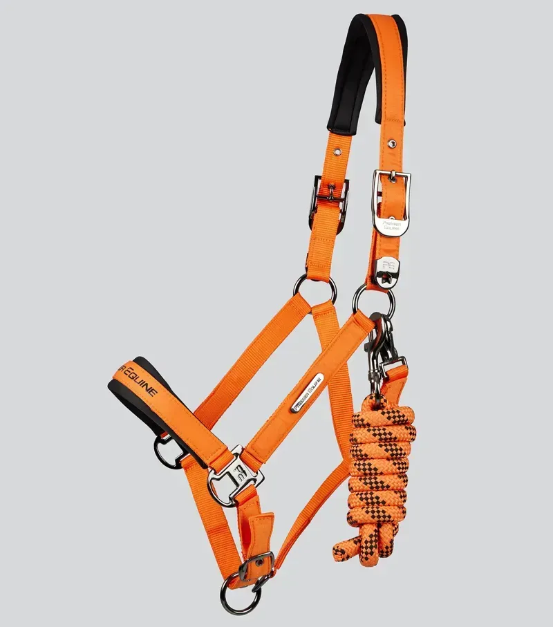 Premier Equine Duco Padded Head Collar With Lead Rope in Orange