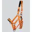 Premier Equine Duco Padded Head Collar With Lead Rope in Orange