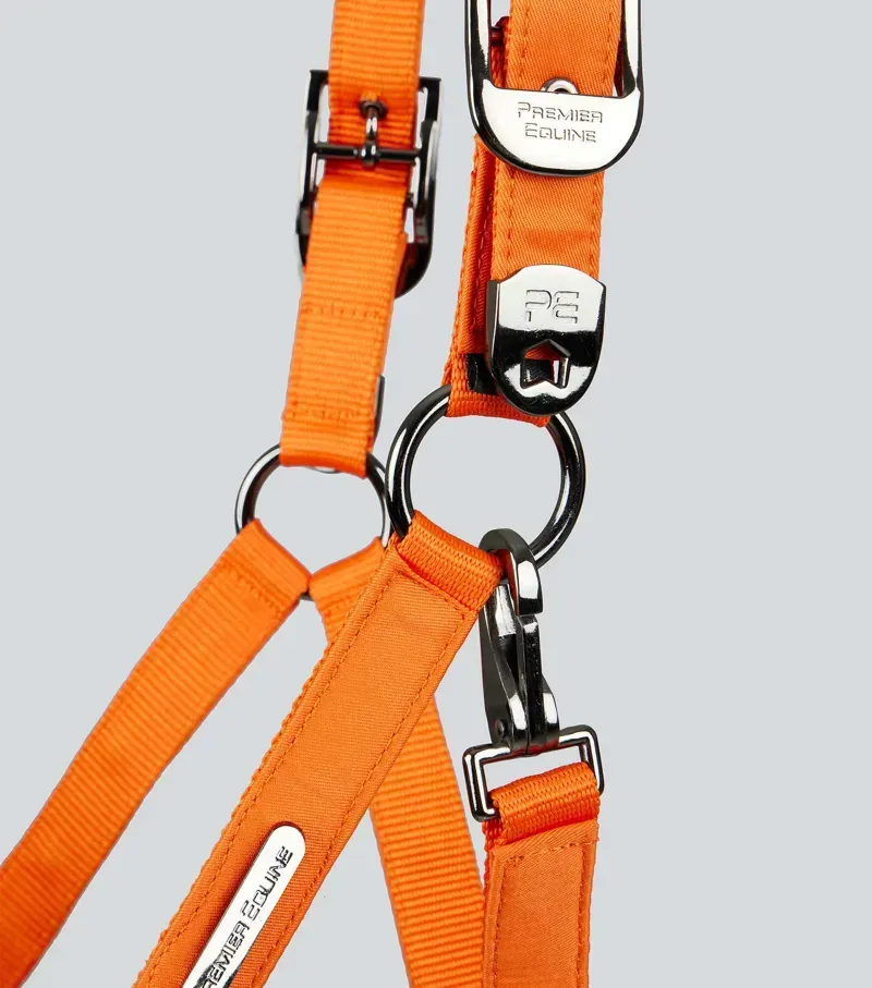 Premier Equine Duco Padded Head Collar With Lead Rope in Orange-2