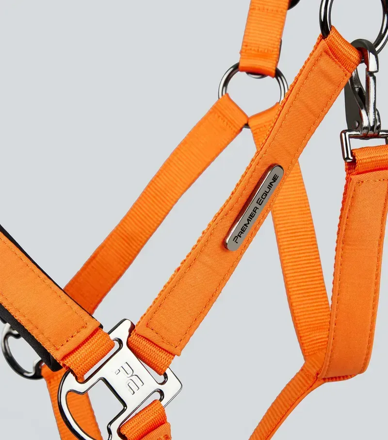 Premier Equine Duco Padded Head Collar With Lead Rope in Orange-3