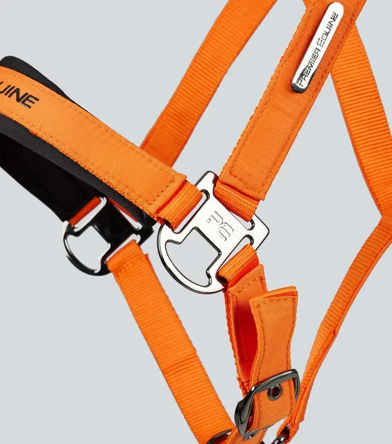 Premier Equine Duco Padded Head Collar With Lead Rope in Orange-4