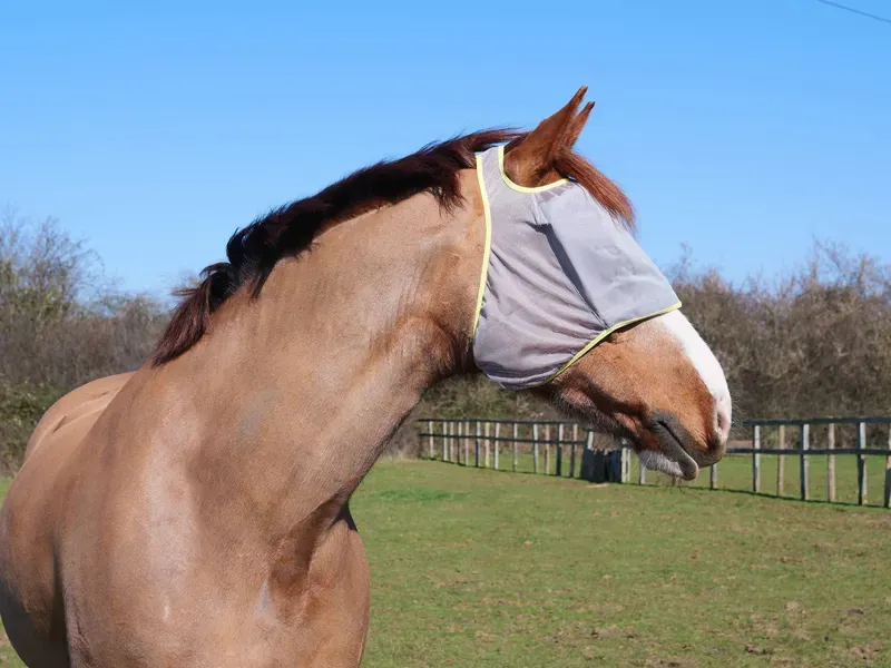 Equilibrium Field Relief Midi Fly Mask Without Ears in Grey/Yellow-1