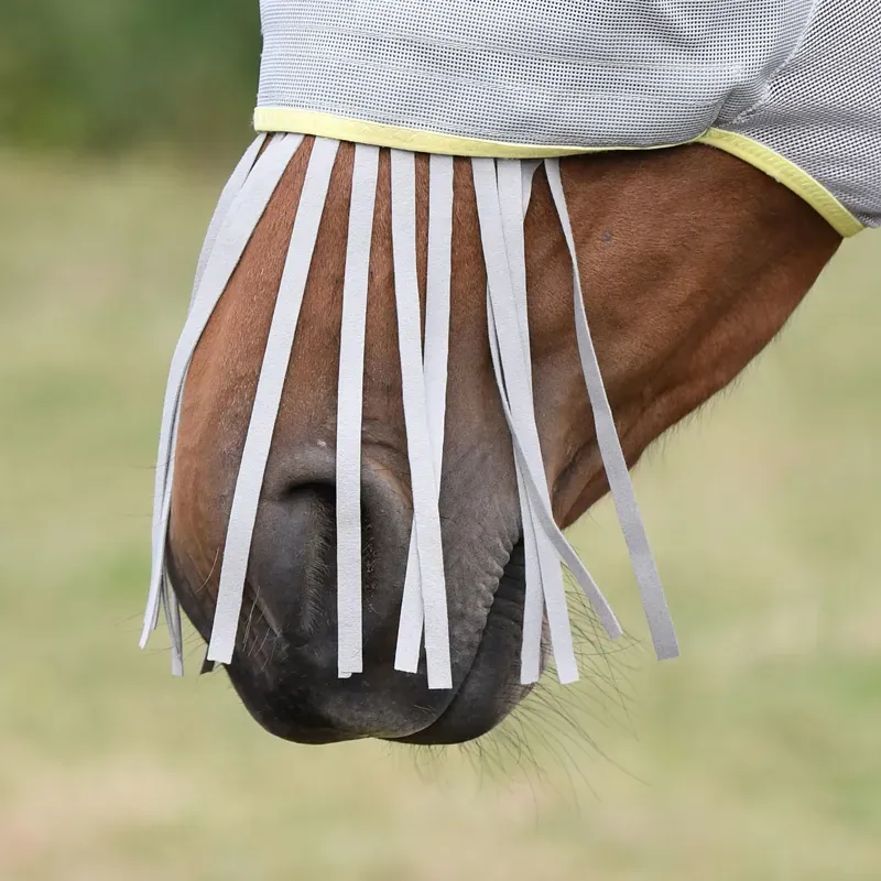 Equilibrium Field Relief Muzzle Fringe in Grey