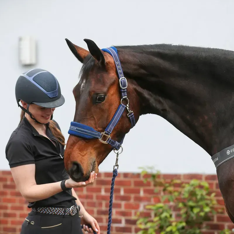 Equilibrium Stellar Style Headcollar in Navy
