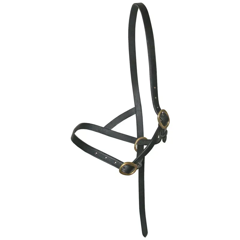 JHL Leather Foal Slip in Black