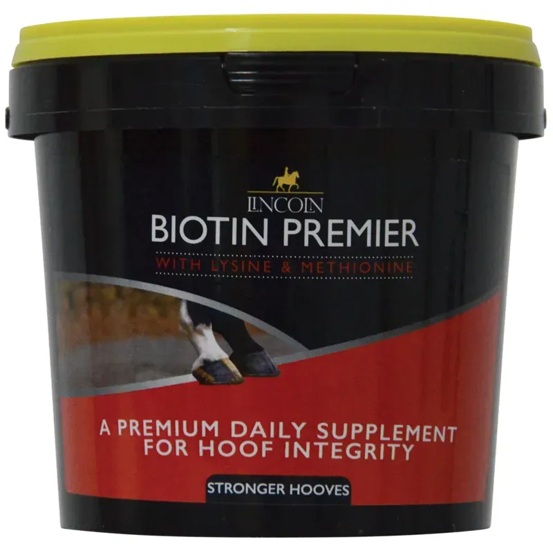 Lincoln BHB Biotin 600g Supplement in Black