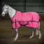 Whitaker Clifton 0g 6ft 3in Turnout Rug in Pink