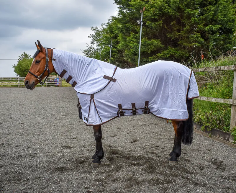 Whitaker Phillip Fly Rug in White