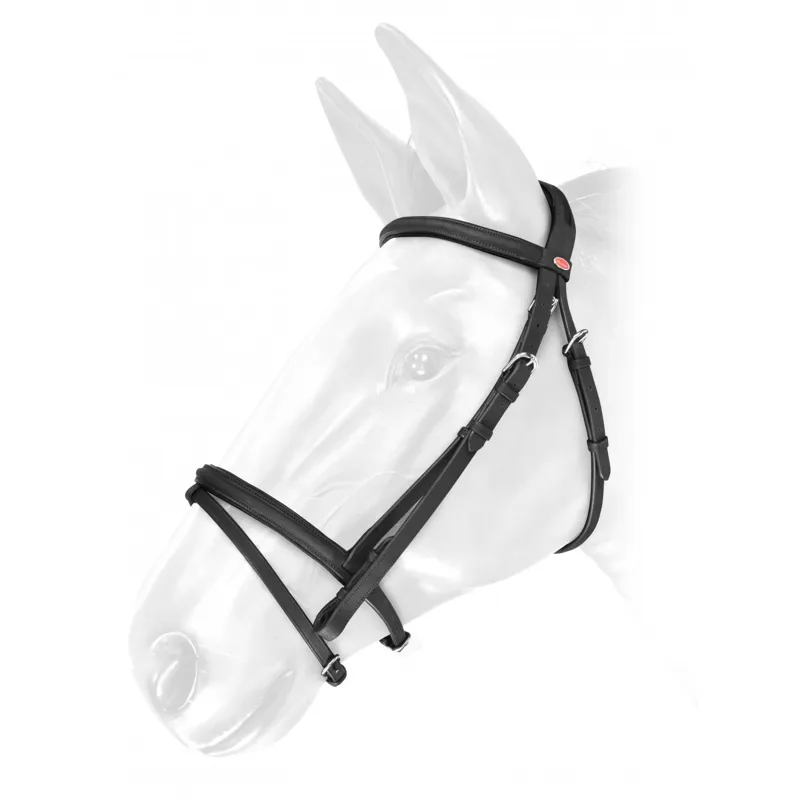 Whitaker Ready To Ride Flash Full Bridle in Black