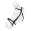 Whitaker Ready To Ride Flash Cob Bridle in Black
