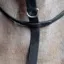 Whitaker Ready To Ride Extra Full Martingale in Black