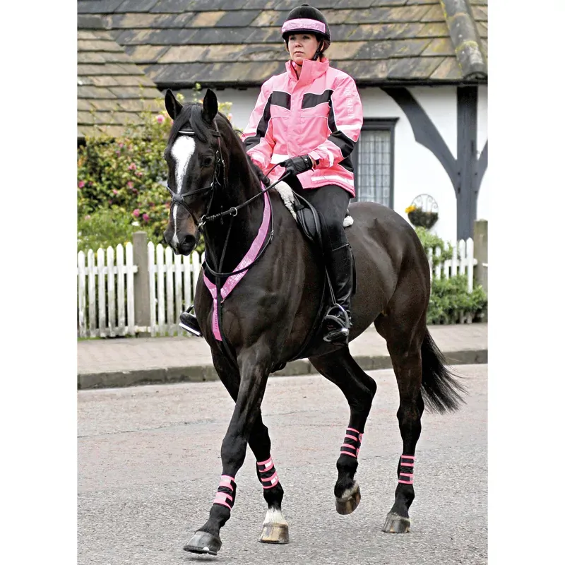 Equisafety Reflective Neckband in Pink