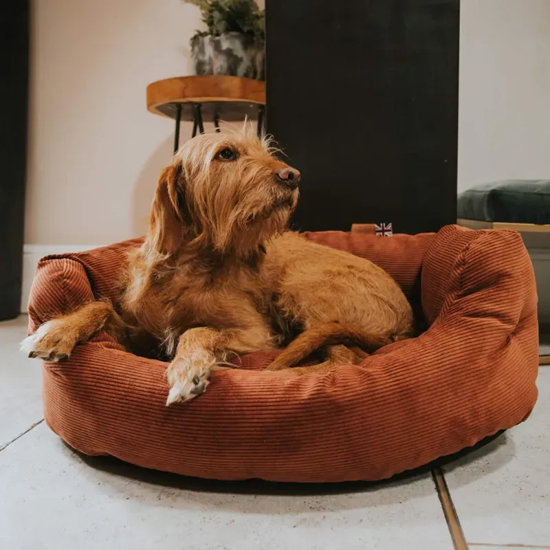 Danish Design 30 inch Elden Deluxe Slumber Bed in Rust-3