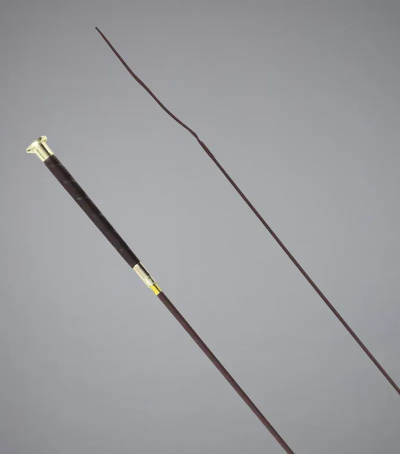 Premier Equine 18inch Erula Dressage Whip in Brown-1