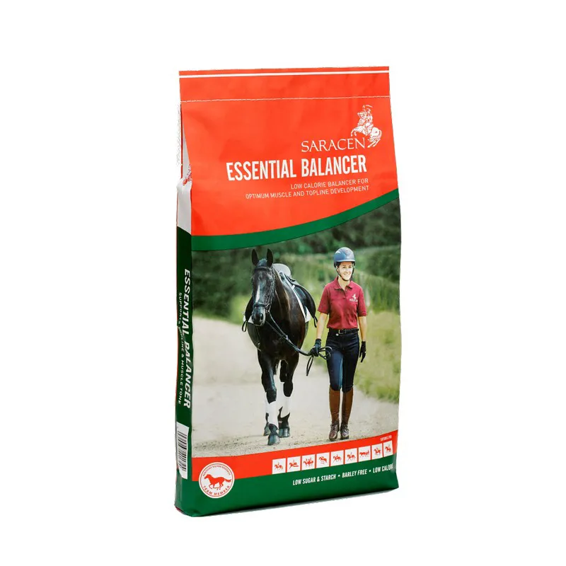 Saracen Essential Balancer 20kg