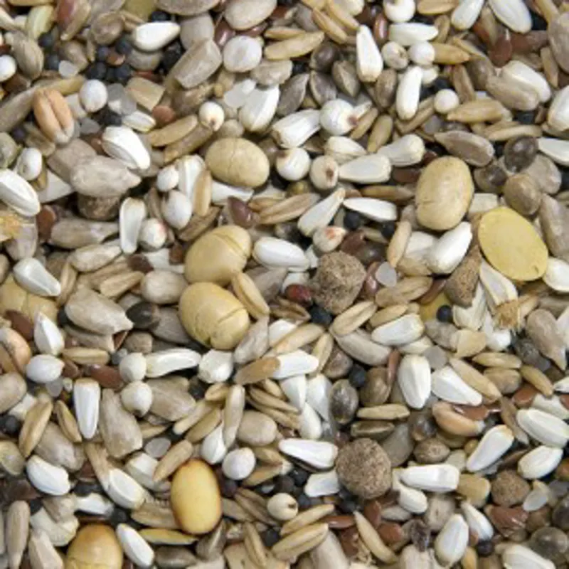 Bamfords Extreme Energy 20kg-1