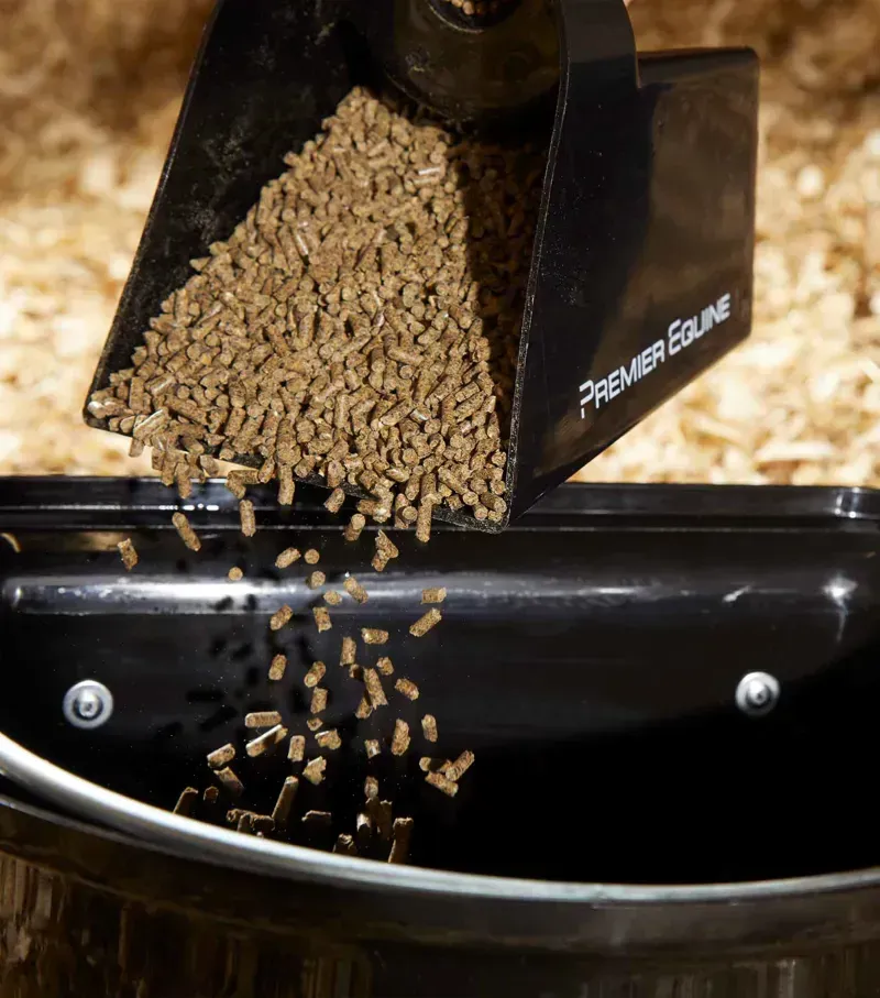 Premier Equine Horse Feed Scoop in Black-1