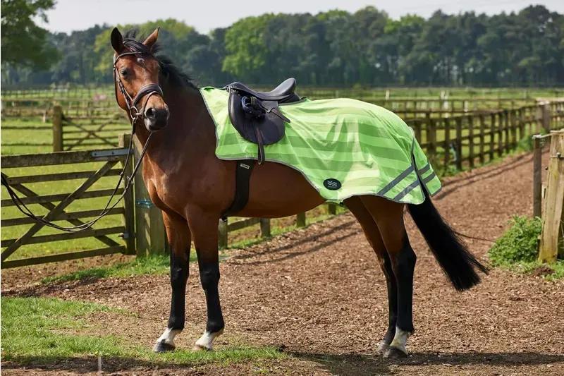 Firefoot Reflective Exercise Sheet Yellow Cob