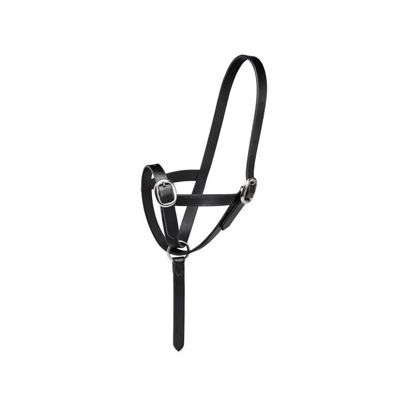 Firefoot Foal Slip Leather BLACK
