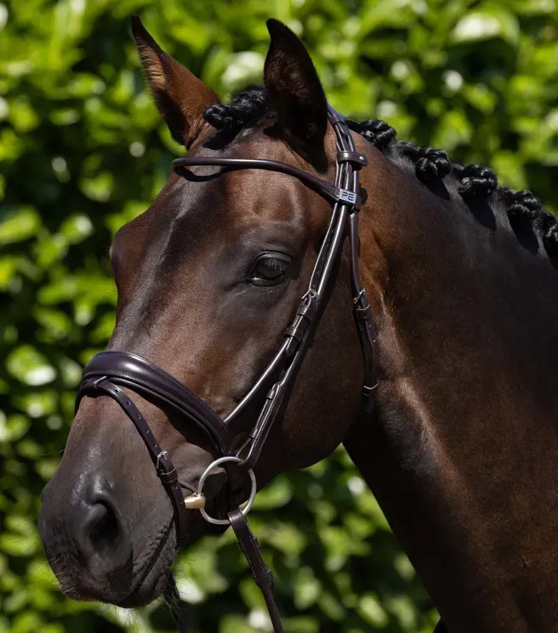 Finetti Rolled Leather Snaffle Bridle / Brown