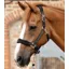 Premier Equine Fleece Padded Headcollar in Black