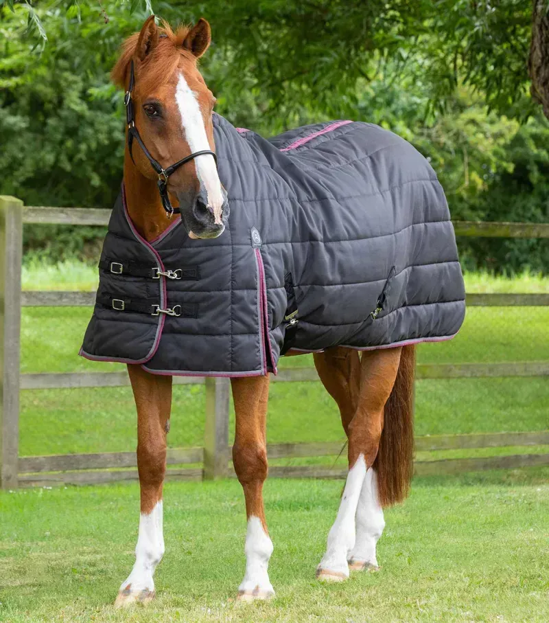 Premier Equine 200g Garissa Stable Rug in Black