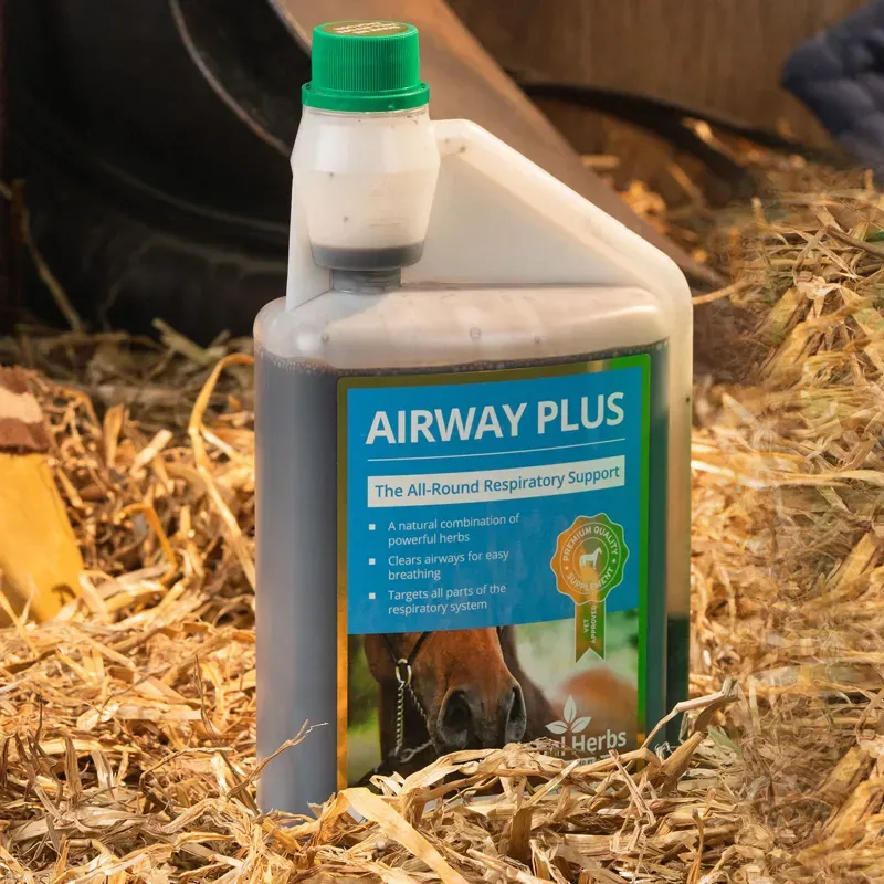 Global Herbs 1lt AirwayPlus in Brown