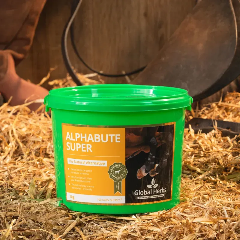 Global Herbs 1kg Alphabute Super Supplement in Green