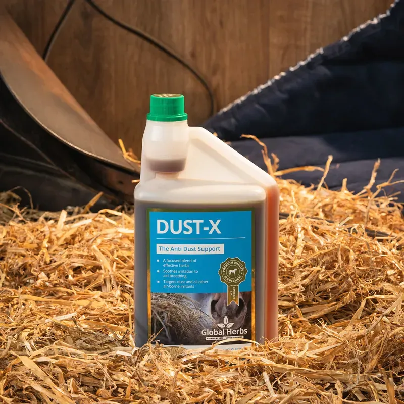 Global Herbs 1lt Dust-X in Brown