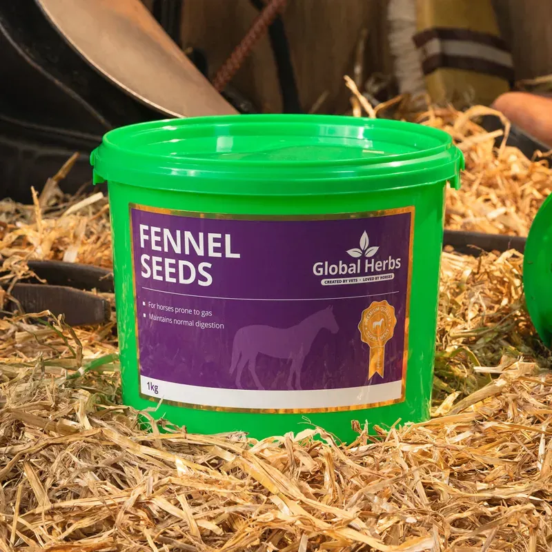 Global Herbs 1kg Fennel in Red