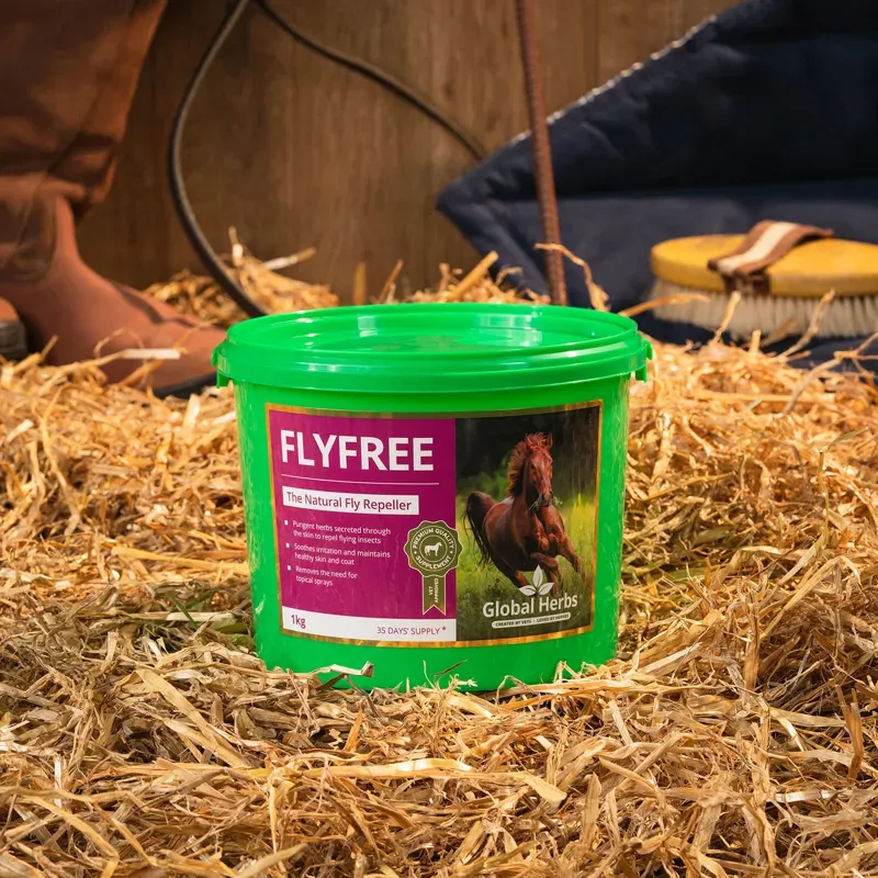 Global Herbs 1kg FlyFree in Green