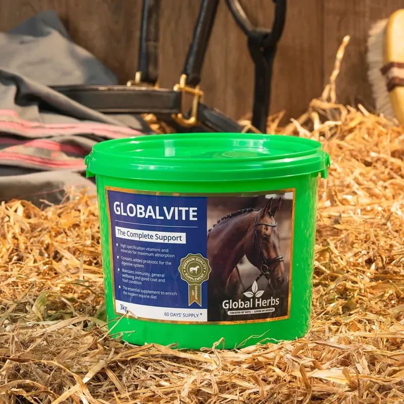 Global Herbs 3kg GlobalVite Supplement in Green